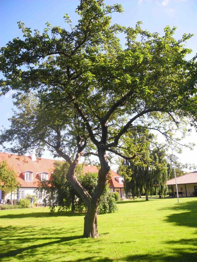 ماريبو Inspiration Center Denmark, Bed & Breakfast المظهر الخارجي الصورة